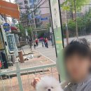 한일동물병원 이미지