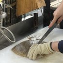 사강로 | 사강횟집거리 6시 내고향회센타 내돈내산후기ㅣ찰광어포장가격ㅣ대부도회포장