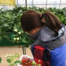 으뜸합기도체육관 이미지