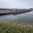 동선낚시터 이미지