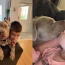 기다리다 이미지