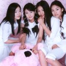 핑클 이미지