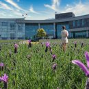 남원생태관광숙박시설 | 남원 가볼만한곳 베스트10