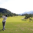 삼산 스크린골프 이미지