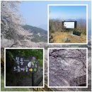 [제 2,028차] 4월07일_ 경남 하동군 황장산(942m), 쌍계사 10리 벚꽃길 산행 안내 이미지