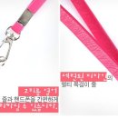 레드 포인트 교역 Daum카페
