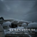 코몽투어 | [내돈내산] 11월 몽골 테를지 당일투어 후기 / 몽골여행 투어 선택 꿀팁 / 몽골 여행사 추천