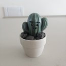 캑터스 | 집들이 선물 추천) 동구밭 캑터스 올인원 퍼퓸바 후기 🌵