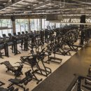 라이브 휘트니스 이미지