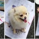 덕천로 이미지