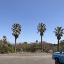 제주영숙 | 제주동쪽숙소-나만알고싶지만 또 알리고싶은, 제주영숙에서 하루!