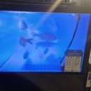 훈남농수산마트 이미지