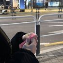 통큰딱따구리 이미지