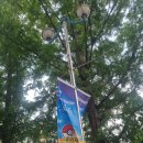 부산 사직야구장 3루 내야필드석A 직관 후기 : 시야, 좌석, 위치, 먹거리, 키움VS롯데