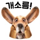 삼한세탁 이미지
