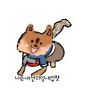 돈골대가 이미지