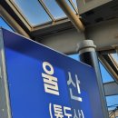 [북구청] 울산 쇠부리축제 (어른들의 파티, 박상민, 불꽃축제) 후기