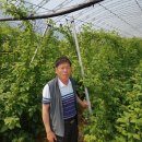 희성농장 이미지