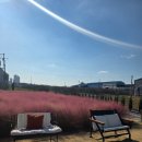 토성로 | 청주카페 토성마을 크리스마스 분위기 끝판왕, 아이와 함께한 소금빵 맛집 후기