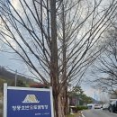 S.L.C(에스엘씨) | [제천] 청풍호반 오토캠핑장 A/B/C/D/E/S 사이트별 비교 및 명당 추천 l S3 사이트 후기