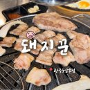 [광주 운암동] 챔필근처맛집 '돼지꾼' 가성비 최고 삼겹살맛집