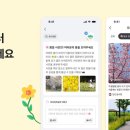 봄꽃처럼 이미지