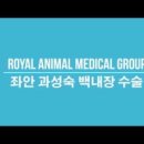 회원동물메디컬센터 이미지