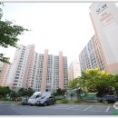 다숲공원 농구장 이미지