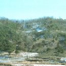 상주 금흔리 이부곡토성 이미지