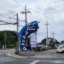 양양팜서프 | 설악해변 서핑 애견동반했던 양양 팜서프 강습후기