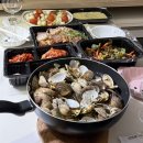 푸들민박 | [일상] 2025년 마지막날 몰아쓰는 5월부터의 일상🌝