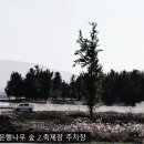 은행나무숲 주차장 부근 이미지