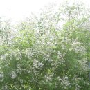 진식농장 이미지