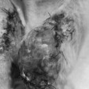 서수원동물병원 이미지