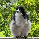 정은 공인중개사사무소 이미지