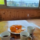 조가물민박 이미지