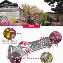 아희 이미지