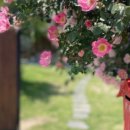 한옥스테이 단아루 이미지