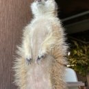 와우(양산점) 이미지