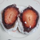 서정동물병원 | 부산 사람이 알려주는 부산 현지인 맛집 | 내돈내산 | 광고없음