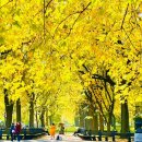 센트럴파크 11 이미지