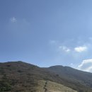 황금사슴농장 이미지