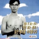 6.3대선 벽보로 보는 대선 [태안타임즈 정치뉴스] 이미지