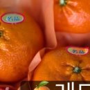 대림청과 - 서대문구 영천시장길 8 | 대림청과
