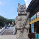 울력 (雲役)으로 보낸 하루 이미지
