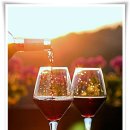 보리수제과 이미지