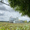 회산백련지 관광안내소 이미지