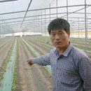 배나무민박 이미지