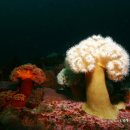 주문진 리조트 이미지