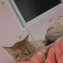 설아네미용실 이미지